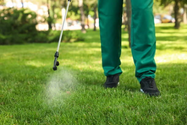 Best Pest Removal Services  in Fairmount, IN