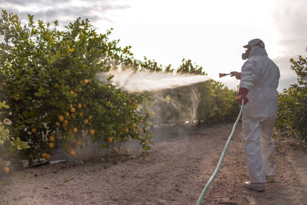 Best Ant Control Services  in Fairmount, IN