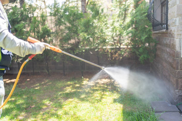 Best Residential Pest Control  in Fairmount, IN