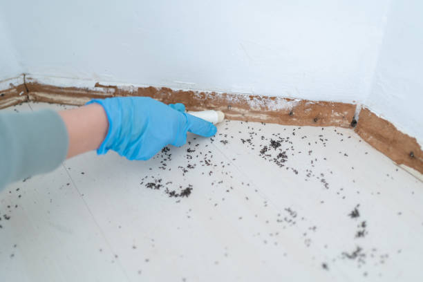 Best Pest Removal Services  in Fairmount, IN